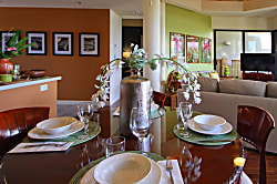 Dancing Dolphins Point