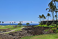 Dancing Dolphins Point