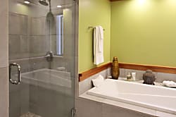 Dancing Dolphins Point