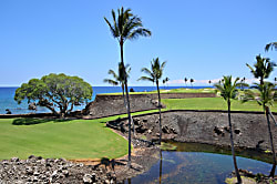 Dancing Dolphins Point