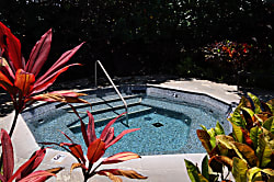 Dancing Dolphins Point