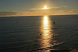 Waikiki Beach Tower #1903