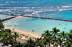 Waikiki Beach Tower #1903