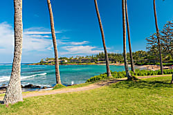 Napili Shores Resort G-156