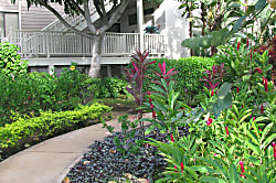 Grand Champions 1 Bedroom Unit