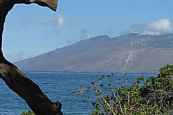 Grand Champions 1 Bedroom Unit