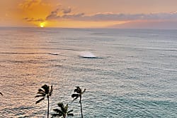 Royal Kahana 12th Floor