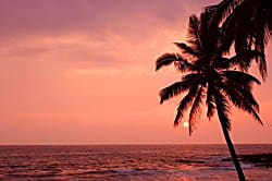 Kona Magic Sands 314