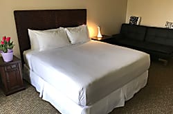 Kauai Beach Resort Rental