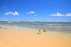 (KL309) Kaha Lani 309