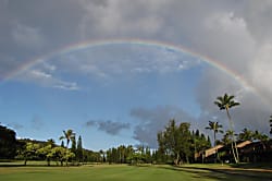 Green Turtle Hideaway