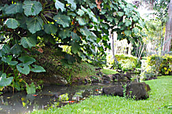 Waikomo Stream Villas 102