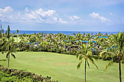 Keauhou Punahele #B103