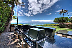 The Whaler Unit #373