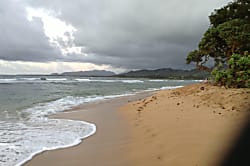 Islander on the Beach 145