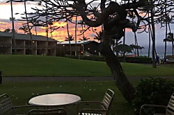 Napili Shores Resort B112