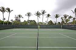 Oasis at Turtle Bay Condo