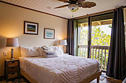 Oasis at Turtle Bay Condo