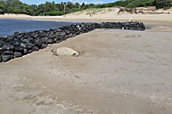 Kihei Bay Surf Vacation Rental