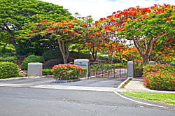 Vista Waikoloa  #106