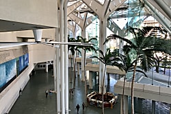 Hawaiian Monarch Penthouse