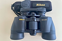 Hawaiian Monarch Penthouse