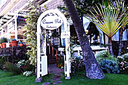 Hawaiian Monarch Penthouse