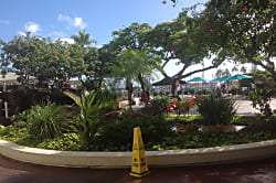 Ilikai Hotel & Suites