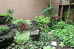 Maui Vista Family Condo