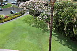 Maui Vista Family Condo
