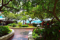 Ilikai Hotel & Suites Condo