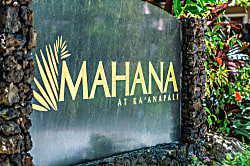 Mahana 1113