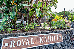 Royal Kahili B303