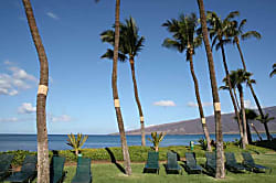 Sugar Beach Resort 519