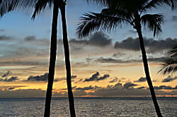 Kona Magic Sands 311