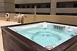 Hawaiian Monarch (PH401)