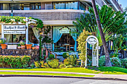 Hawaiian Monarch (PH401)