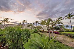 Maui Kamaole D Cluster