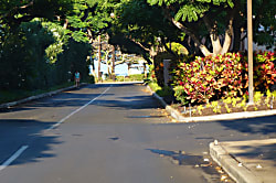 Kihei Akahi DG14