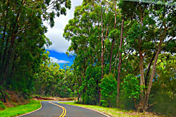 Kapaa vacation rental