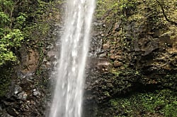 Kapaa vacation rental