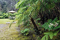 'Ama'u Lani Cottage
