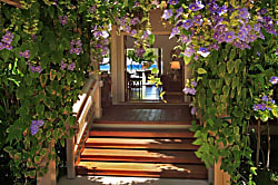 Serene Oceanfront Estate