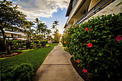 Ocnfrnt, Casa DeEmdeko Ironman