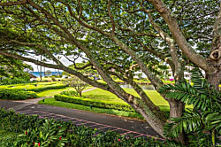 Kiahuna Plantation #172 (building 26)