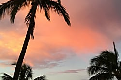 Sugar Beach Resort Live Aloha Suite