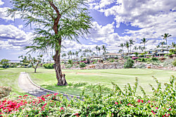 Wailea Grand Champions 87