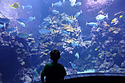 Haleakala Shores 2BD