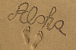 Emmalani Ct. 2 Bedroom