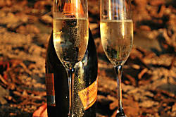 Emmalani Ct. 2 Bedroom